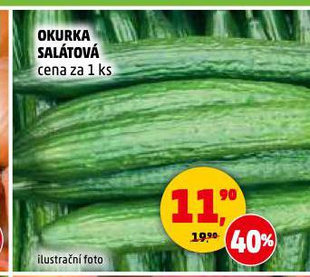 OKURKA SALTOV