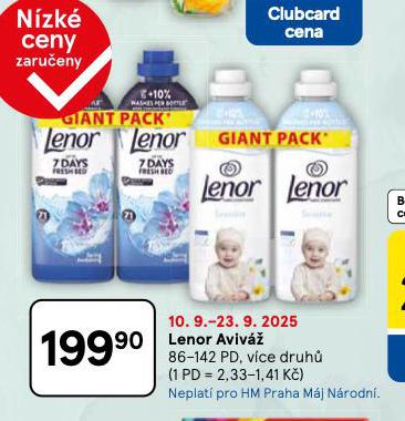 LENOR AVIV
