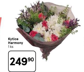 KYTICE HARMONY