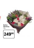 KYTICE HARMONY
