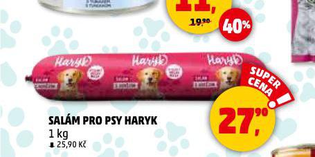 HARYK SALM PRO PSY