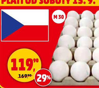 VEJCE M