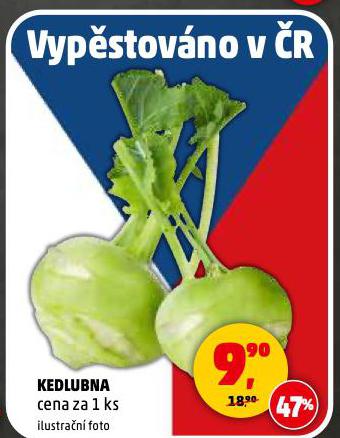 KEDLUBNA