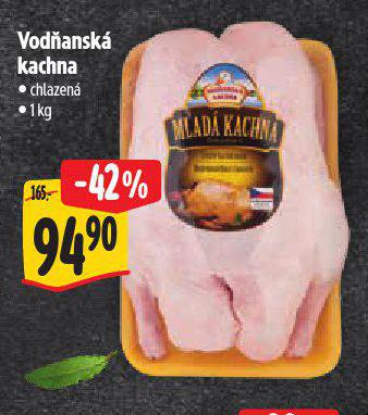 VODANSK KACHNA