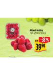 ALBERT MALINY