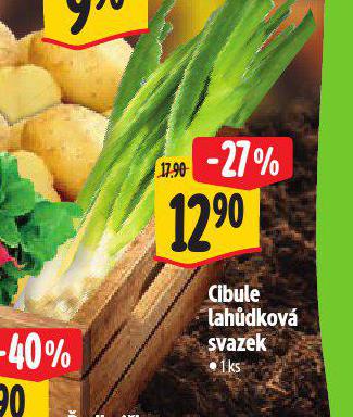 CIBULE LAHDKOV SVAZEK