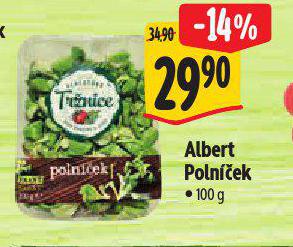 ALBERT POLNEK