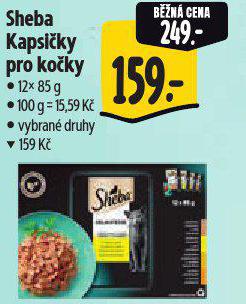 SHEBA KAPSIKY PRO KOKY