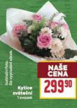 KYTICE SVTEN
