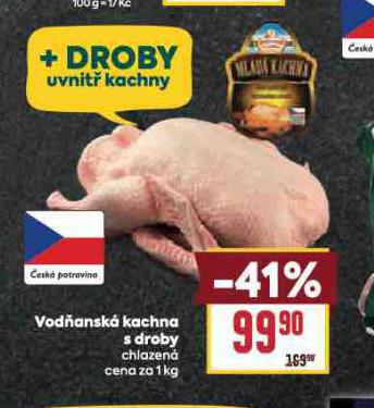 VODANSK KACHNA S DROBY