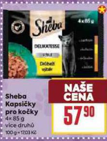 SHEBA KAPSIKY PRO KOKY