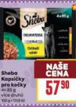 SHEBA KAPSIKY PRO KOKY