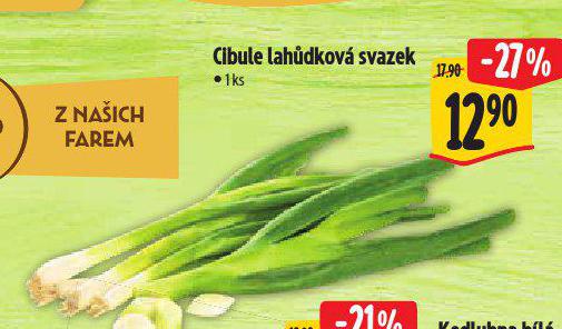 CIBULE LAHDKOV SVAZEK