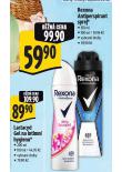 REXONA ANTIPERSPIRANT