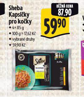SHEBA KAPSIKY PRO KOKY