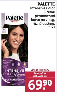PALETTE PERMANENTN BARVA NA VLASY