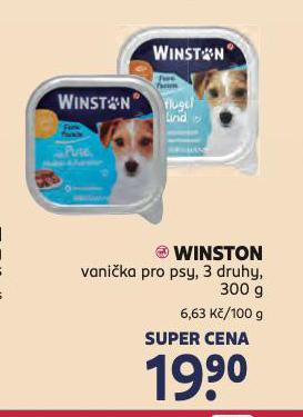 WINSTON VANIKA PRO PSY