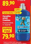 COCCOLINO AVIV