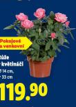 RَE V KVTINI