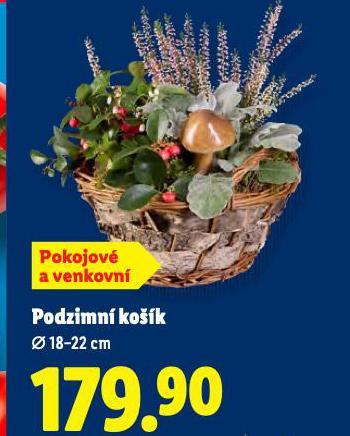 PODZIMN KOK