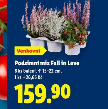 PODZIMN MIX FALL IN LOVE