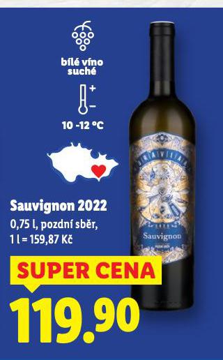 SAUVIGNON 2022