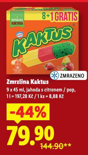 ZMRZLINA KAKTUS