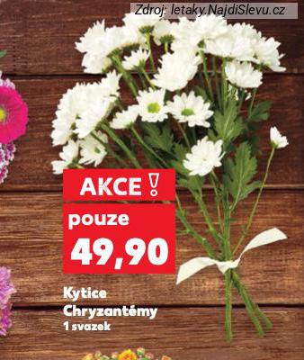 KYTICE CHRYZANTMY