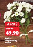 KYTICE CHRYZANTÉMY