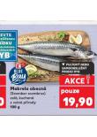 MAKRELA OBECNÁ