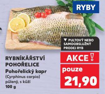 POHOELICK KAPR