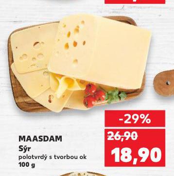 MAASDAM SR