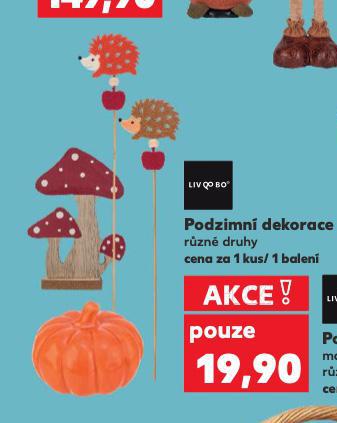 PODZIMN DEKORACE