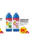 MAGNESIA PLUS