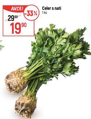 CELER S NAT