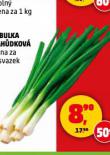 CIBULKA LAHDKOV