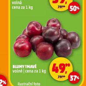 BLUMY TMAV