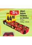 RAJATA STRABENA NA VTVICE