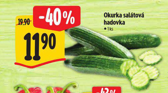 OKURKA SALTOV HADOVKA