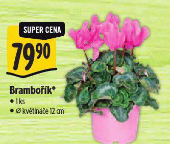 BRAMBOK