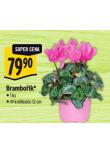 BRAMBOK
