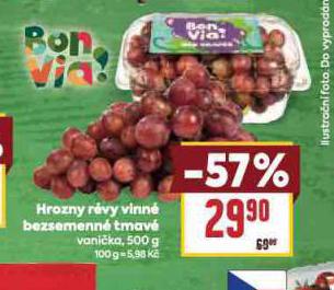HROZNY RVY VINN BL BEZSEMEN TMAV