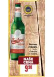 BUDVAR VEPN