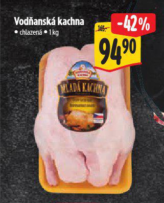 VODANSK KACHNA