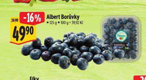 BORVKY