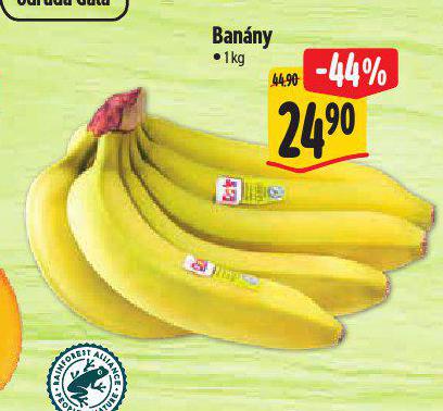 BANNY