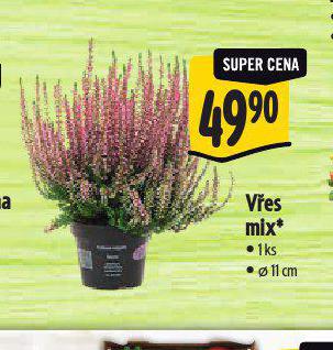 VES MIX