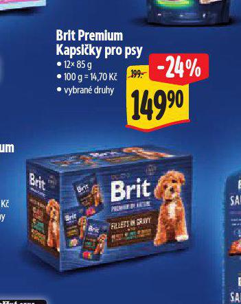 BRIT KAPSIKY PRO PSY