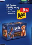 BRIT KAPSIKY PRO PSY