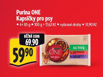 PURINA ONE KAPSIKY PRO PSY